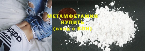 прущие грибы Дмитриев