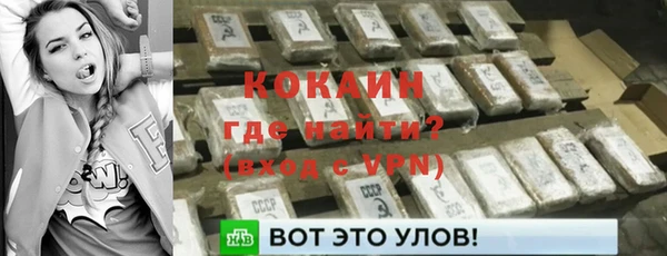 прущие грибы Дмитриев