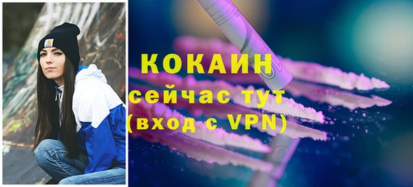 прущие грибы Дмитриев