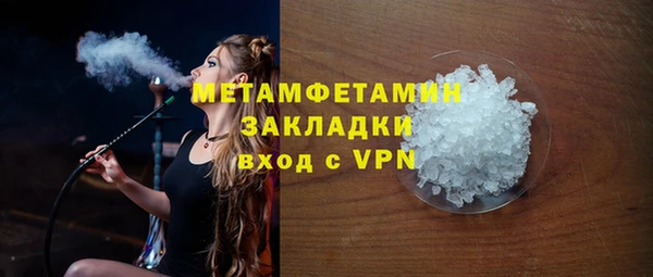 прущие грибы Дмитриев