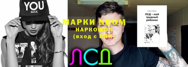 прущие грибы Дмитриев