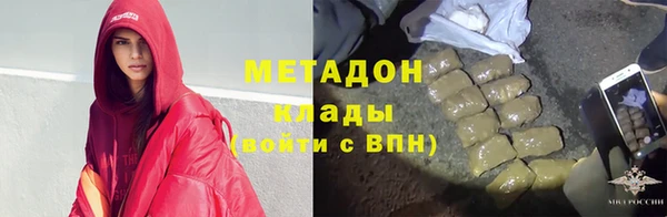 прущие грибы Дмитриев
