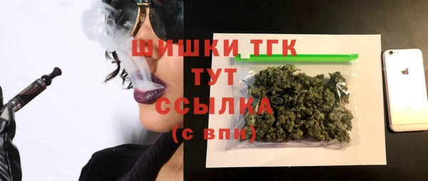 прущие грибы Дмитриев
