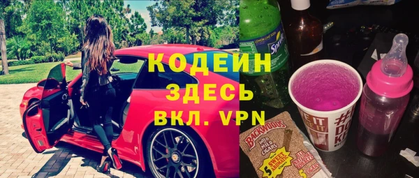 прущие грибы Дмитриев
