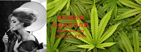 прущие грибы Дмитриев