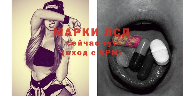 прущие грибы Дмитриев