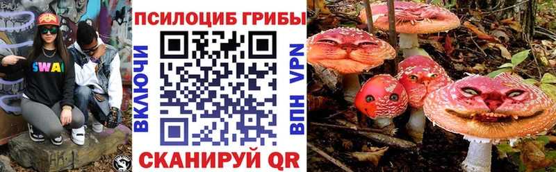 Псилоцибиновые грибы MAGIC MUSHROOMS  Петровск-Забайкальский 
